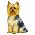 Silky Terrier Watercolor - Ceramic Mug