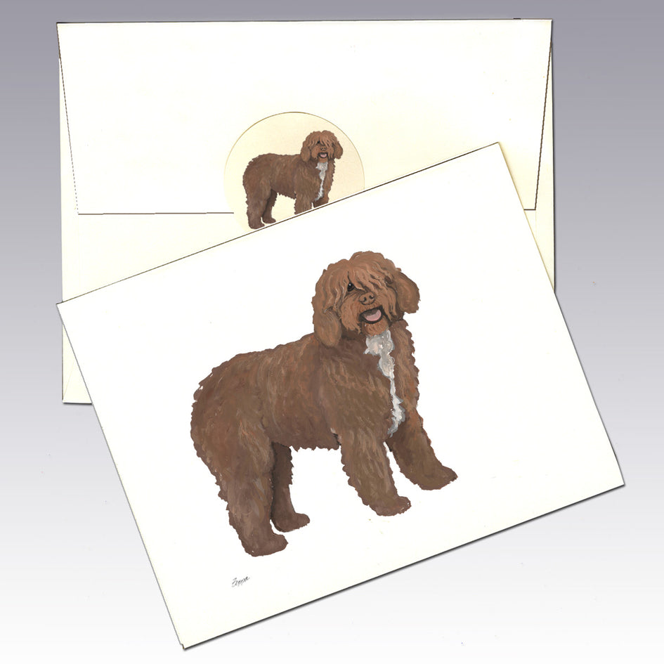 Spanish Waterdog Note Cards