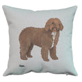 Spanish Water Dog Pillow Cover
