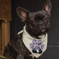 Spooky Paw - Doggie Bandana