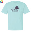 A light aqua blue short-sleeve t-shirt with a dark purple graphic on the chest depicting a tree, pumpkins, and the text 'SPOOKY SEASON SOCIAL CLUB' and 'PALM. NAPA, CA'.