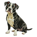 Staffordshire Bull Terrier Watercolor - Ceramic Mug