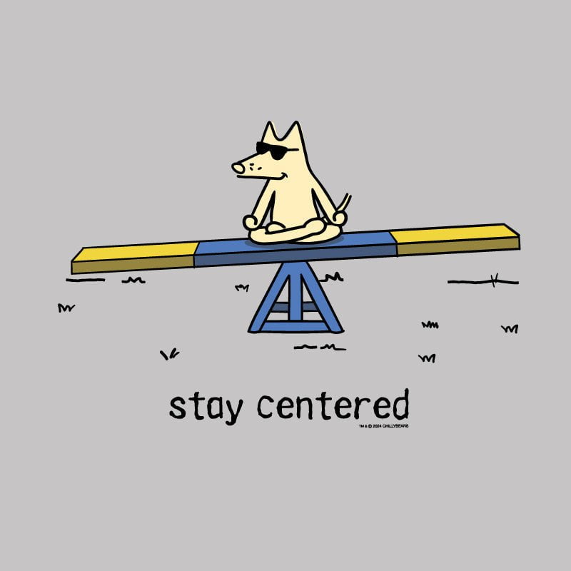 Stay Centered - Ladies T-Shirt V-Neck