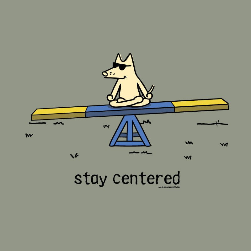 Stay Centered - Ladies Curvy V-Neck Tee