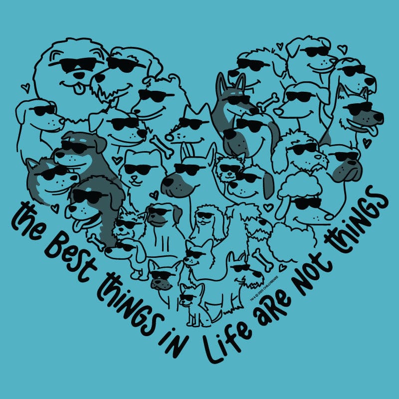 The Best Things In Life - Ladies T-Shirt V-Neck