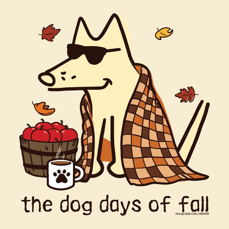A stylized fall-themed illustration of a cream-colored dog wearing black sunglasses, wrapped in a brown and orange plaid blanket, sitting beside a basket of red apples and a white mug with a black paw print. The text 'the dog days of fall' appears below on a light beige background with scattered autumn leaves.