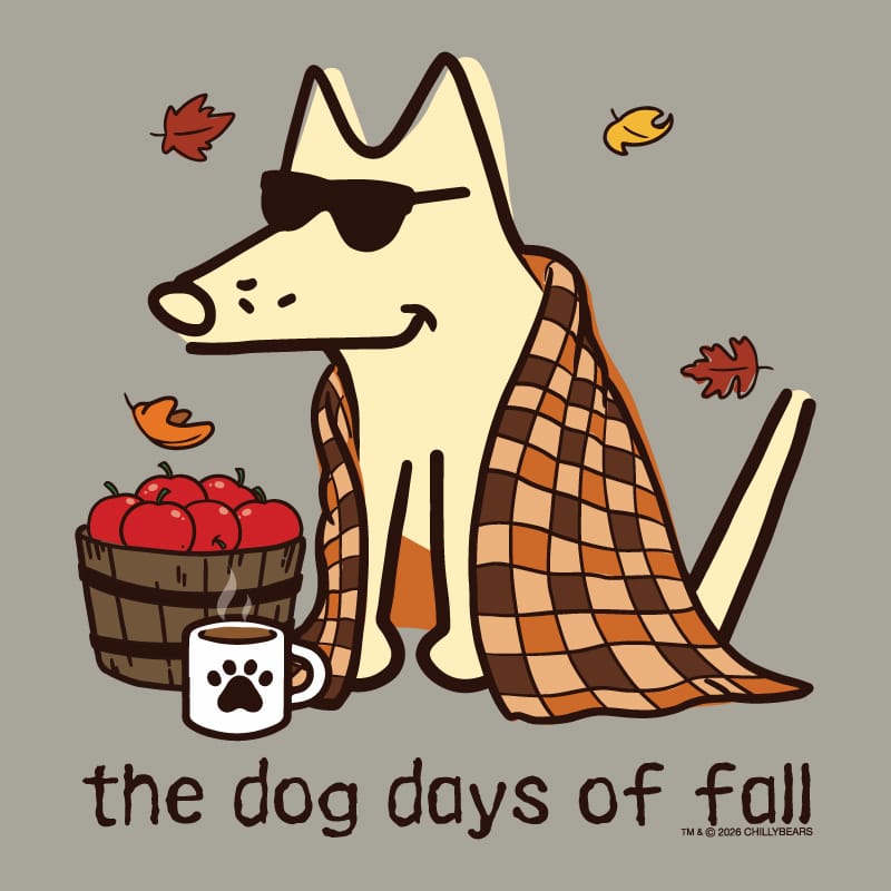 A stylized fall-themed illustration of a cream-colored dog wearing dark sunglasses, wrapped in an orange and brown plaid blanket, sitting beside a basket of red apples and a white mug with a paw print. The text 'the dog days of fall' appears below on a solid taupe background, with small '© 2024 CHILLY BEARS' branding in the lower right.
