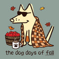 A stylized fall-themed illustration of a cream-colored dog wearing dark sunglasses, wrapped in an orange and brown plaid blanket, sitting beside a basket of red apples and a white mug with a paw print. The text 'the dog days of fall' appears at the bottom on a muted blue-green background with scattered autumn leaves.