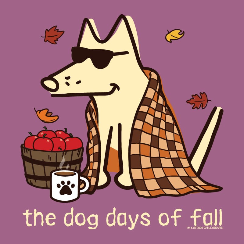 A stylized fall-themed illustration on a purple background showing a cream-colored dog wearing black sunglasses, wrapped in an orange and brown plaid blanket, sitting beside a basket of red apples and a white mug with a black paw print. The text at the bottom reads 'the dog days of fall' with a small '© 2024 CHERRYBEARS' mark.