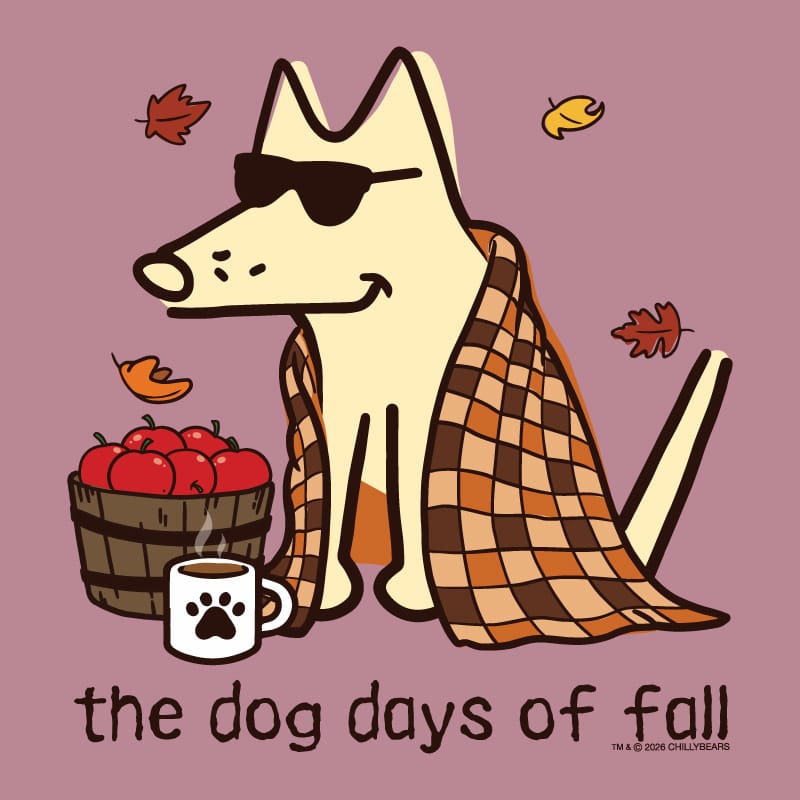 A stylized fall-themed illustration on a dusty mauve background showing a cream-colored dog wearing black sunglasses, wrapped in an orange and brown plaid blanket, sitting beside a basket of red apples and a white mug with a black paw print. The text 'the dog days of fall' appears at the bottom, with a small '© 2024 CHILLYBEARS' mark in the lower right.