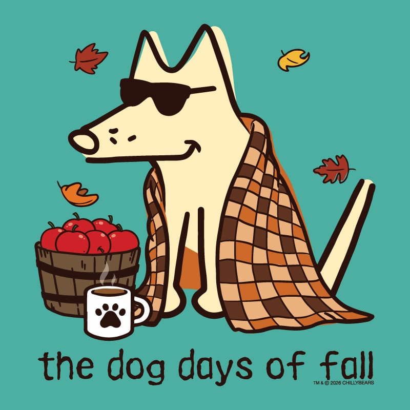 A stylized illustrated dog wearing black sunglasses and wrapped in a brown-and-cream plaid blanket, sitting beside a basket of red apples and a white mug with a paw print. The text 'the dog days of fall' appears at the bottom on a teal background with scattered autumn leaves.