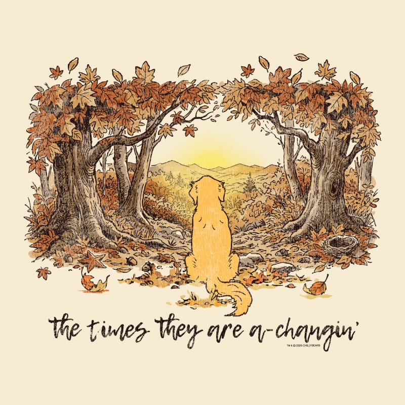 A square art print featuring an illustration of a golden retriever dog sitting in front of a sunset seen through an archway of autumn trees. Below the illustration, the handwritten quote reads 'the times they are a-changin''.