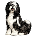 Tibetan Terrier Watercolor - Ceramic Mug