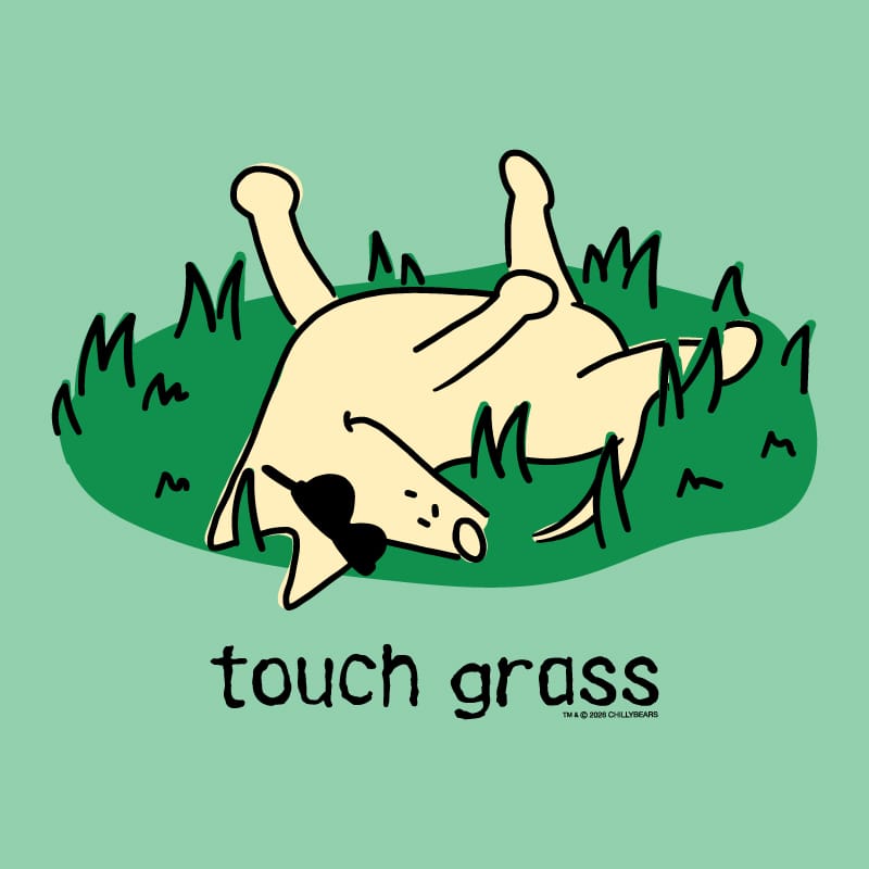 A cartoon-style graphic on a mint green background showing a cream-colored dog rolling on green grass with the text 'touch grass' below.