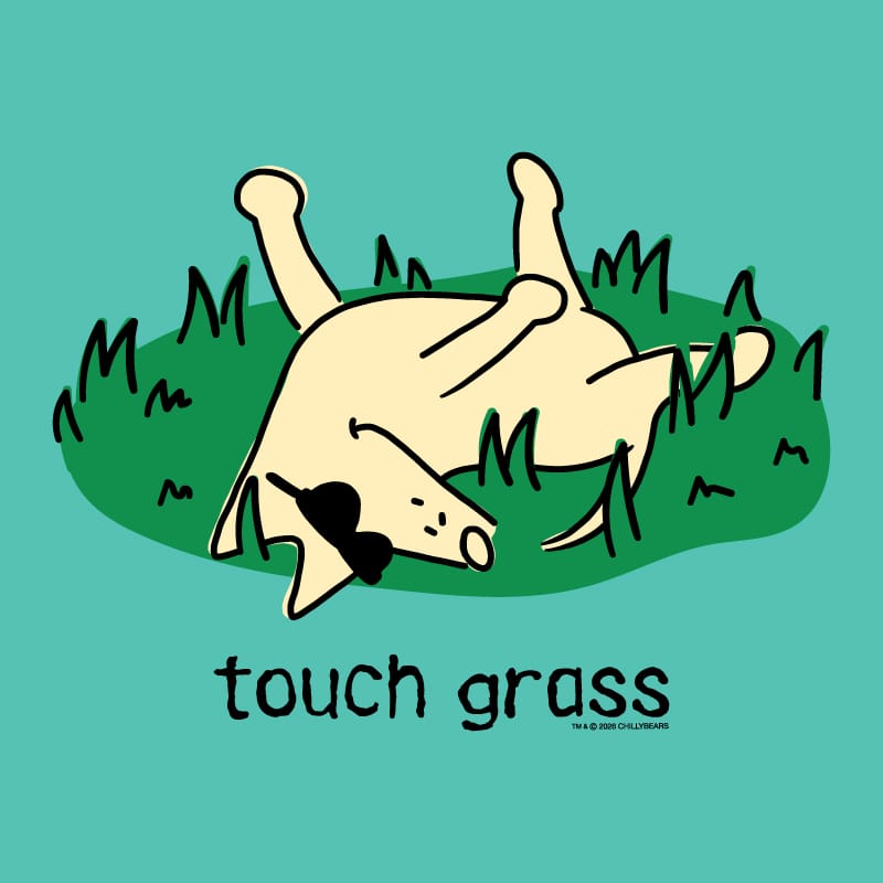 A graphic print featuring a cartoon dog rolling on its back on green grass against a teal background, with the text 'touch grass' underneath.