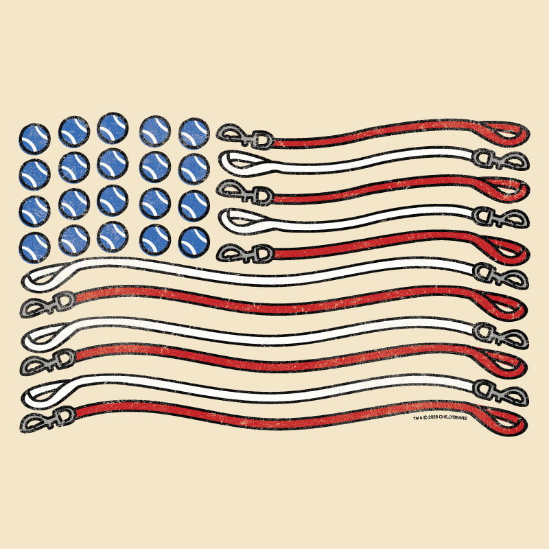 American flag design made with blue and red dog leashes on a beige background