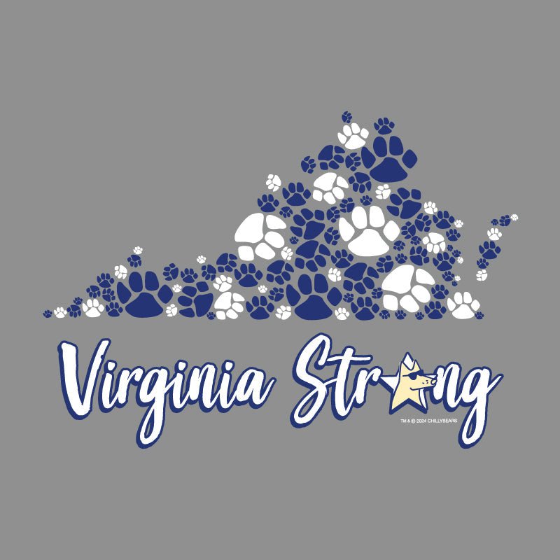 Virginia Strong - Ladies Curvy V-Neck Tee