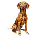 Vizsla Watercolor - Ceramic Mug