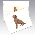 Wirehaired Vizsla Note Cards