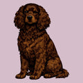 Watercolor American Water Spaniel Adult Unisex T-Shirt