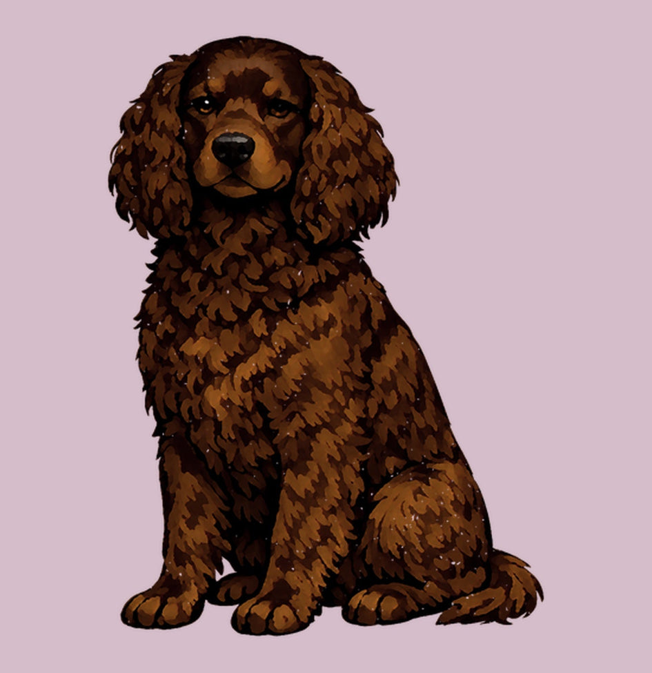 Watercolor American Water Spaniel Adult Unisex T-Shirt