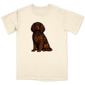 Watercolor American Water Spaniel Adult Unisex T-Shirt