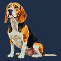 Watercolor Beagle Adult Unisex T-Shirt