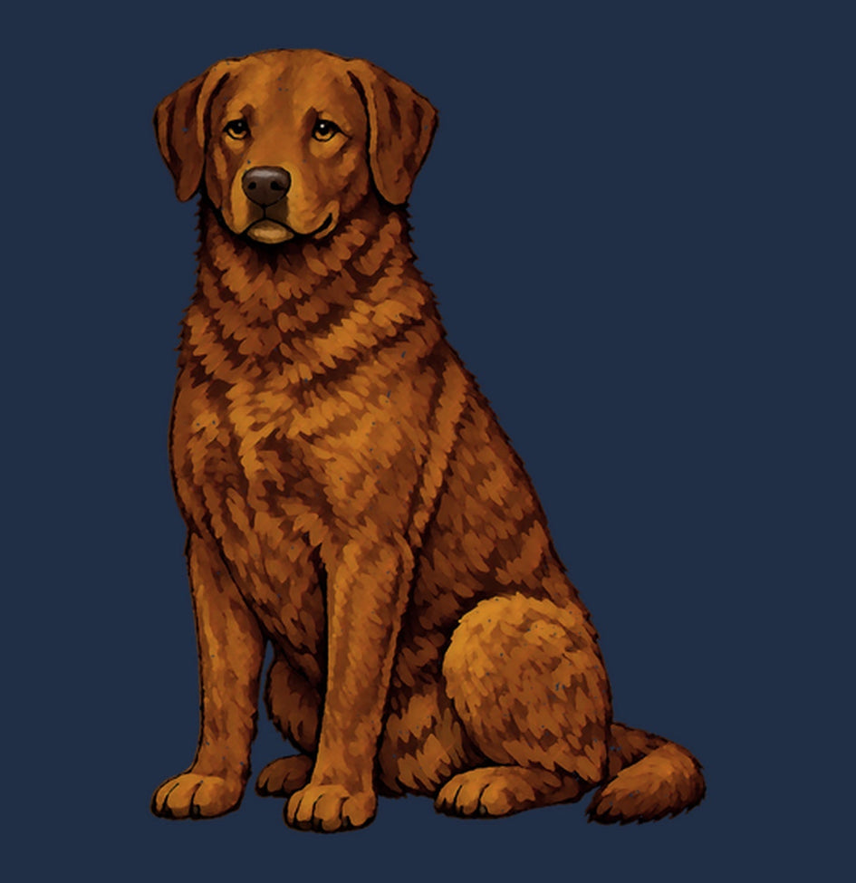 Watercolor Chesapeake Bay Retriever Adult Unisex T-Shirt