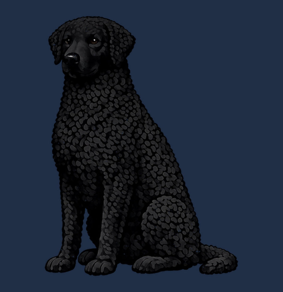 Watercolor Curly-Coated Retriever Adult Unisex T-Shirt