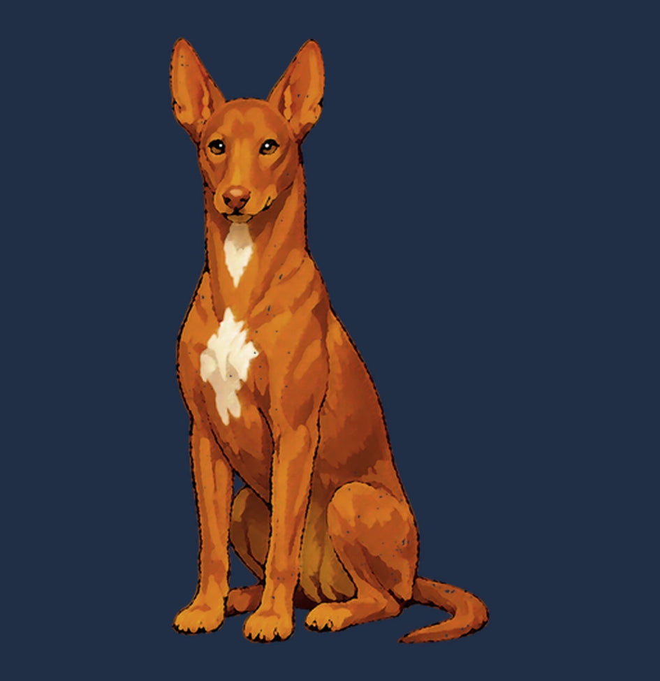 Watercolor Pharaoh Hound Adult Unisex T-Shirt