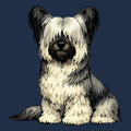 Watercolor Skye Terrier Adult Unisex T-Shirt