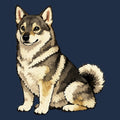Watercolor Swedish Vallhund Adult Unisex T-Shirt