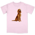 Watercolor Irish Setter Adult Unisex T-Shirt