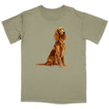 Watercolor Irish Setter Adult Unisex T-Shirt