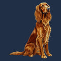 Watercolor Irish Setter Adult Unisex T-Shirt
