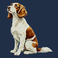 Watercolor Welsh Springer Spaniel Adult Unisex T-Shirt