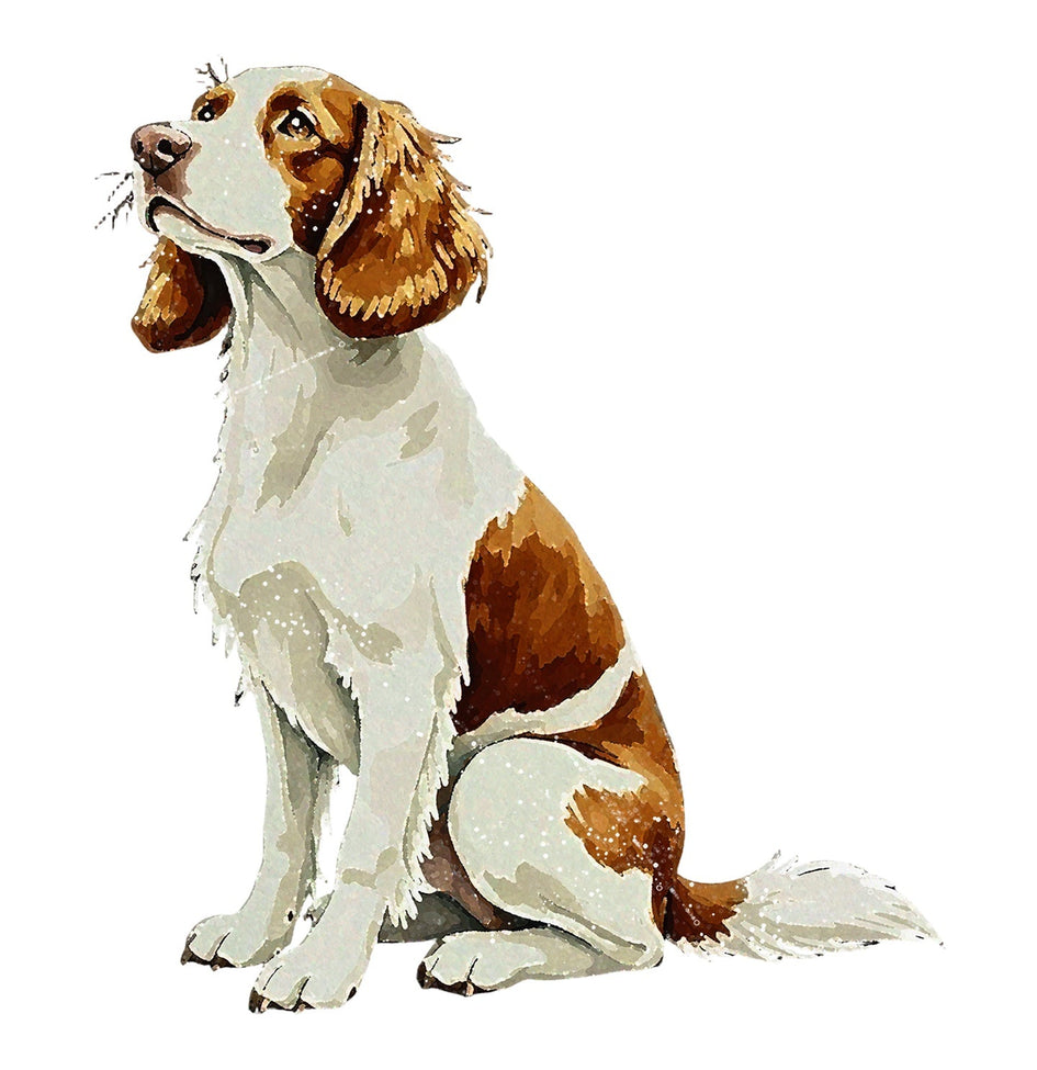 Welsh Springer Spaniel Watercolor - Ceramic Mug
