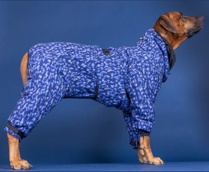 PAIKKA Dog Winter Suit