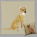 Coated Xoloitzcuintli Pillow Cover