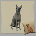 Xoloitzcuintli Pillow Cover