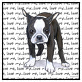 Boston Terrier Puppy Love Text - Adult Unisex Hoodie Sweatshirt