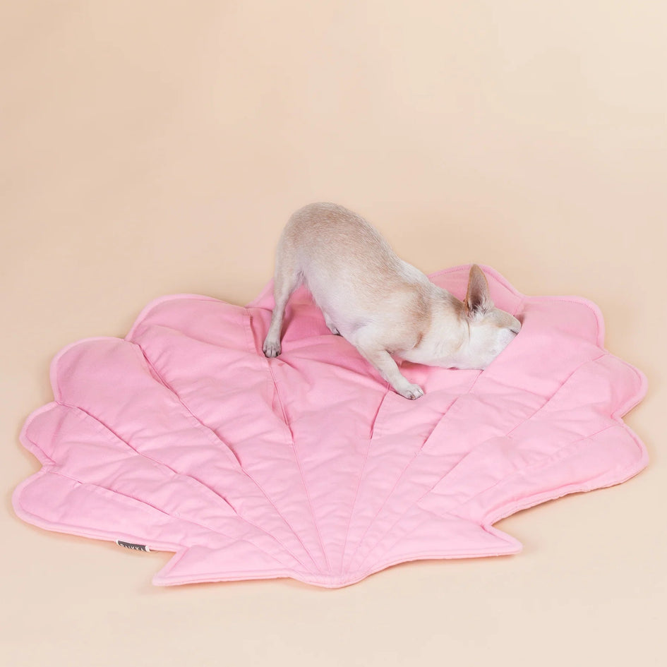 Whale Playmat for Dogs – PAIKKA