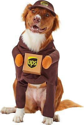 ups delivery man costume