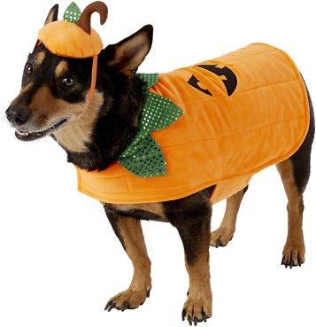 Frisco Pumpkin Dog Costume