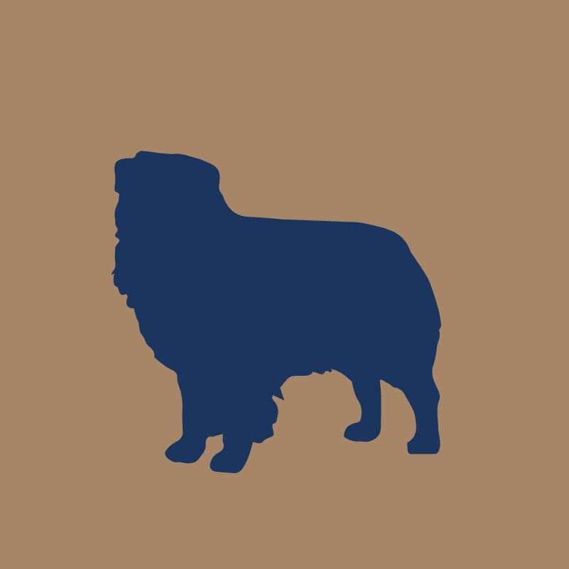 Embroidered Visor - Australian Shepherd