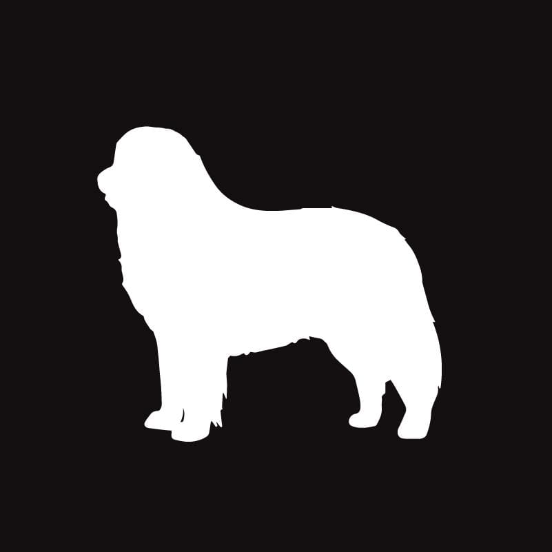 Embroidered AKC Polo - Bernese Mountain Dog