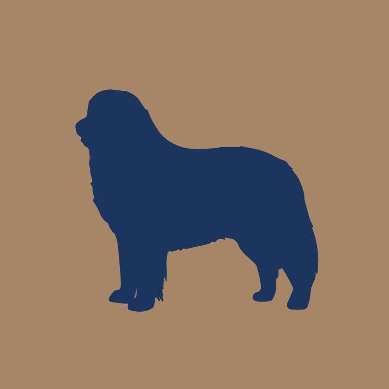 Embroidered Visor - Bernese Mountain Dog