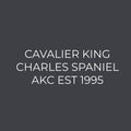 Cavalier King Charles Spaniel Embroidered AKC Women's Polo