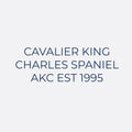 Cavalier King Charles Spaniel Embroidered AKC Women's Polo