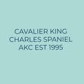 Cavalier King Charles Spaniel Embroidered AKC Quarter Zip